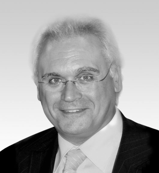 Domingo Jaumandreu i Ros